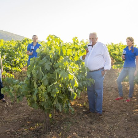 Cepa Bosquet, una vida dedicada al vino